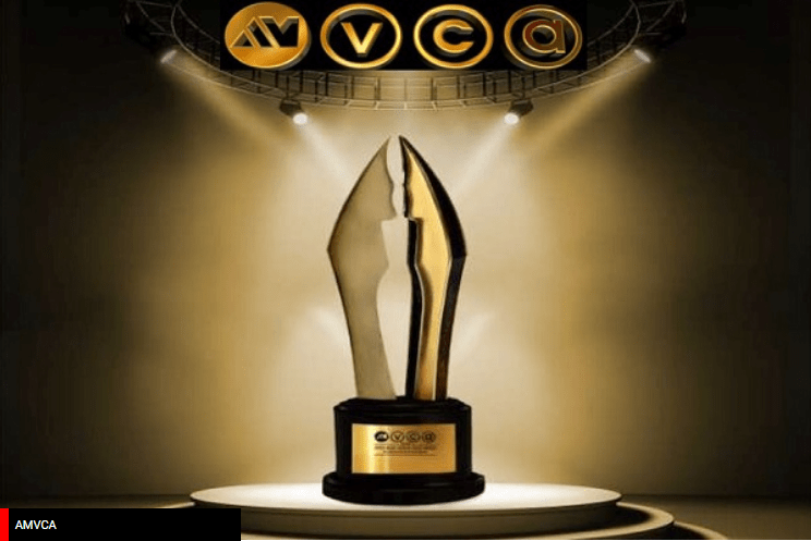 African Magic Viewers' Choice Awards (AMVCA)